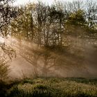 Unser Autal im Nebel