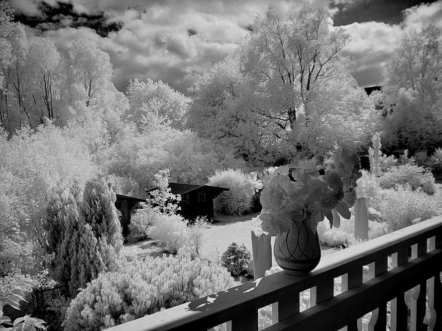 Unser Balkon Blick in den Garten Foto Bild natur Unser Balkon Blick in den Garten Foto Bild natur