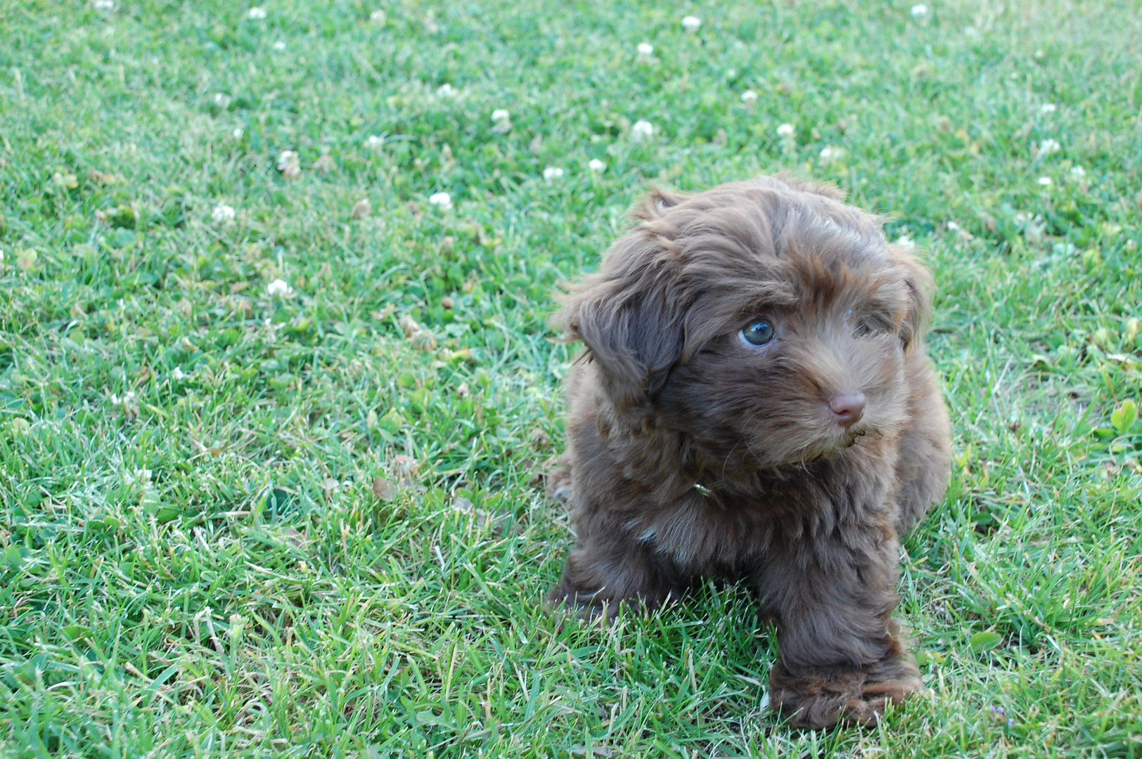 Unser Barney! :-)