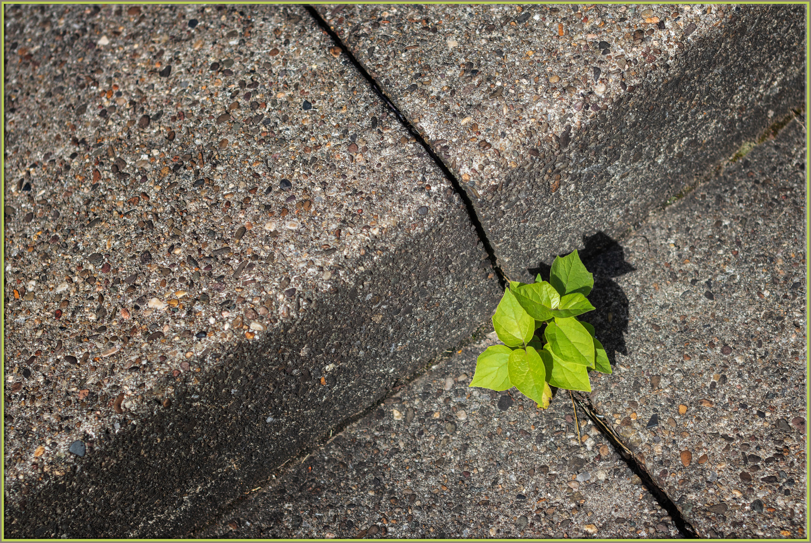 Unser Beitrag zum Klimawandel...mehr Beton, als Grün