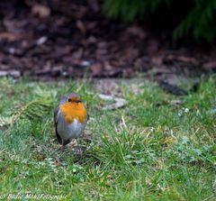 Unser Besuch heute