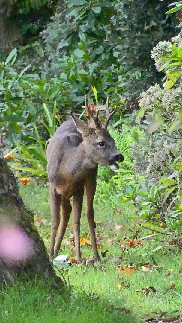 Unser Besuch kommt gerade