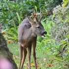 Unser Besuch kommt gerade