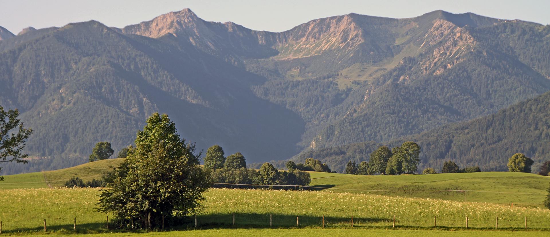 Unser Blick wenn wir einst in Oberbayern aus unserer Ferienwohnug traten...