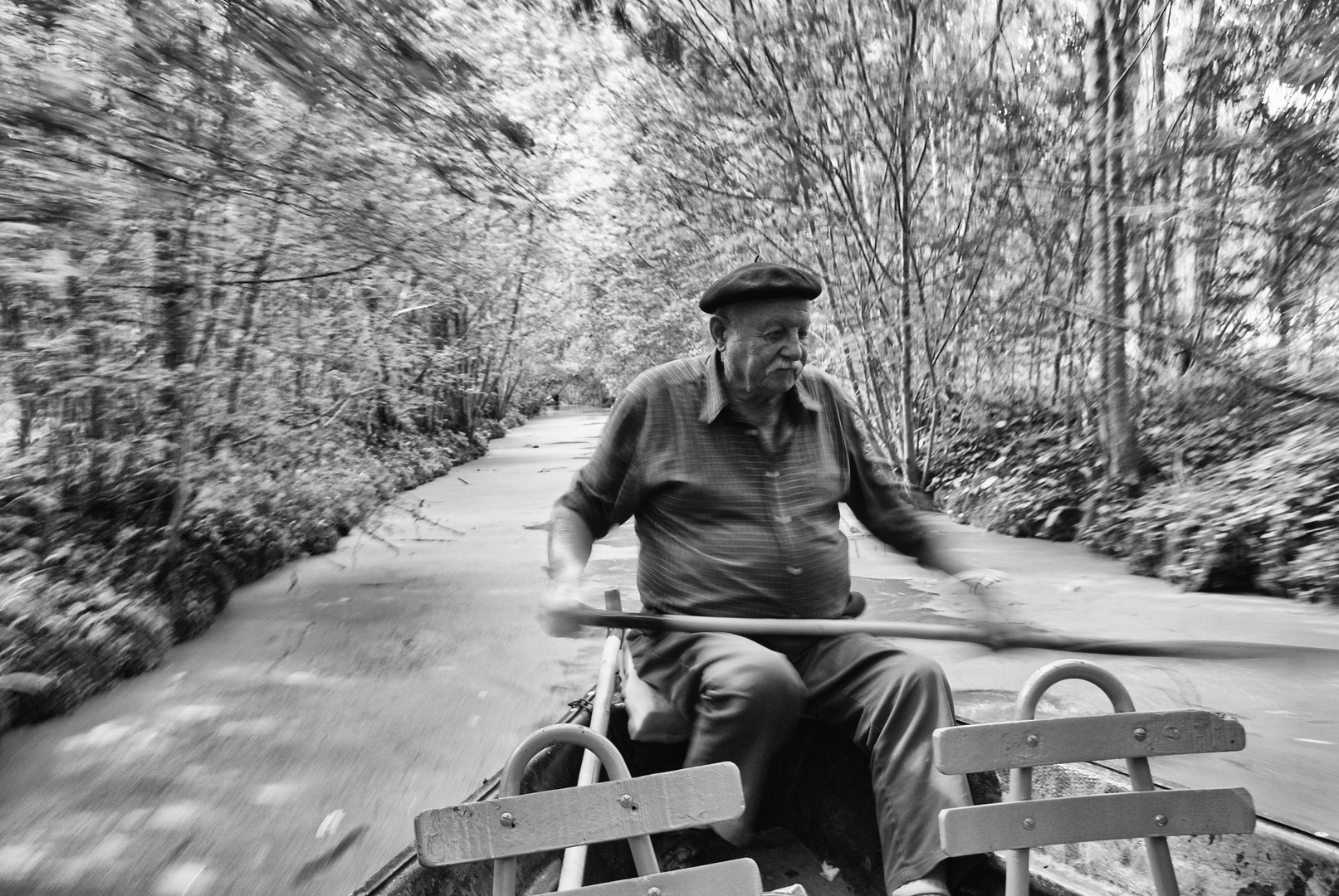 Unser Bootführer in der Marais Poitevin