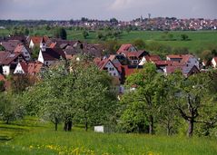 Unser Dörfle vorgestern Nachmittag