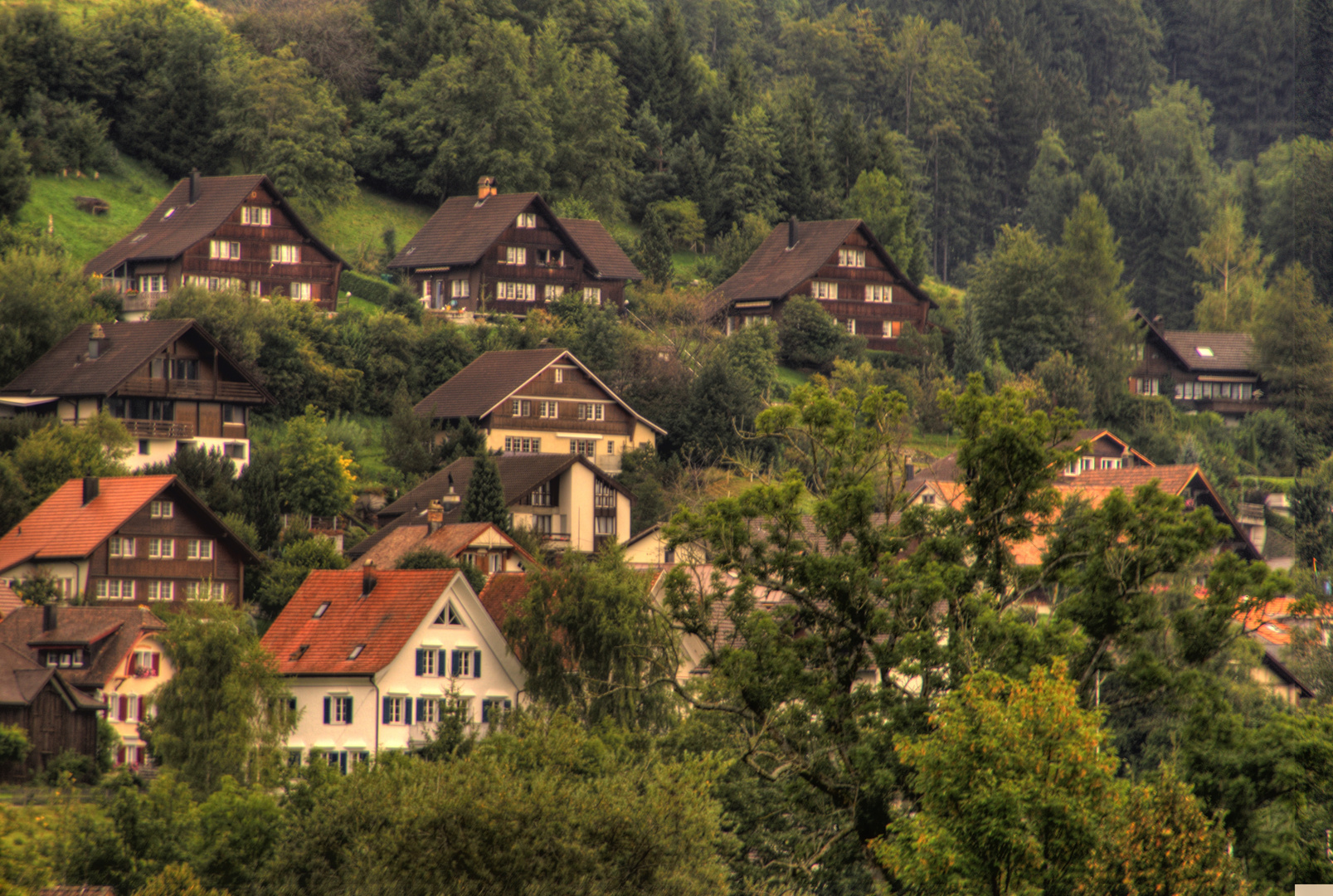 Unser Dorf