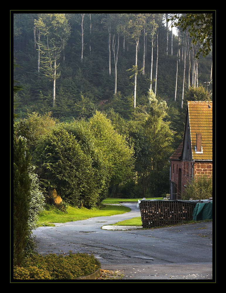 "Unser Dorf I"