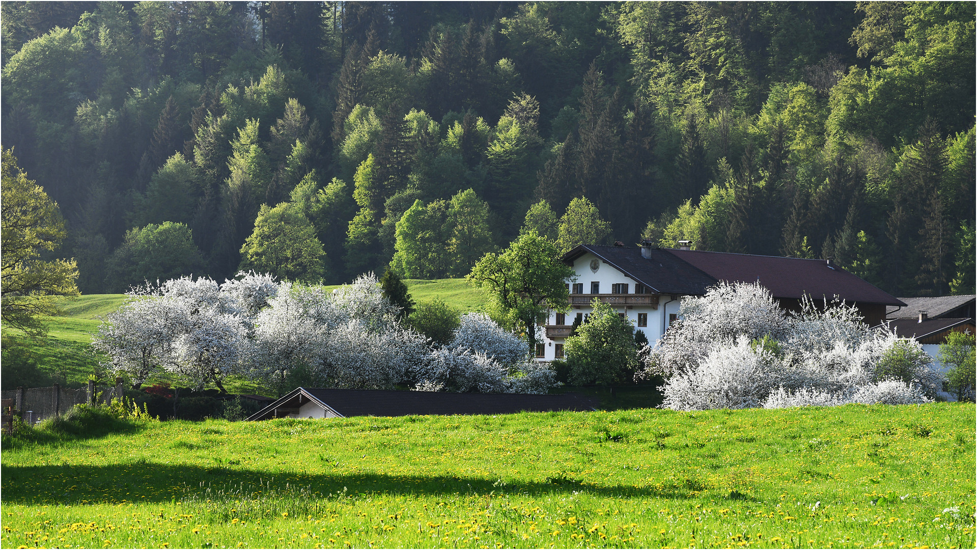 "Unser Dorf soll schöner werden"