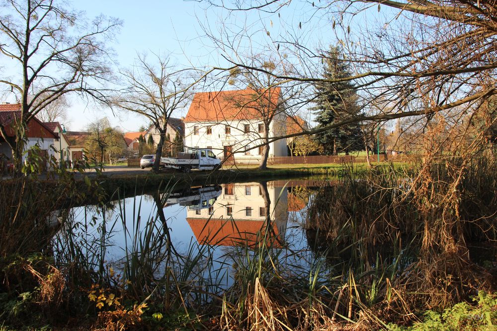 Unser Dorfteich- immer wieder ein lohnenswertes Fotomotiv