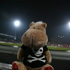 unser Ed in St. Pauli