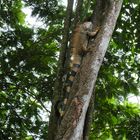 ...unser Empfang nach unserer Bootsfahrt im Tortuguero NP...