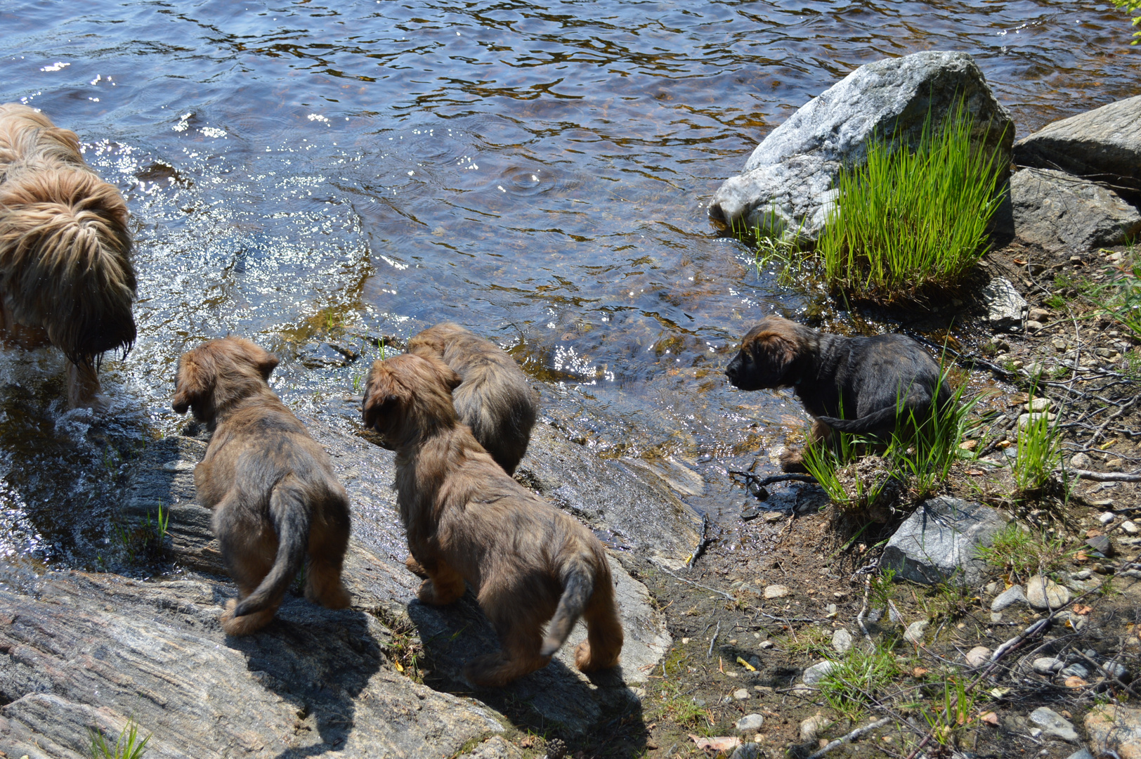 Unser erster Ausflug ans Wasser