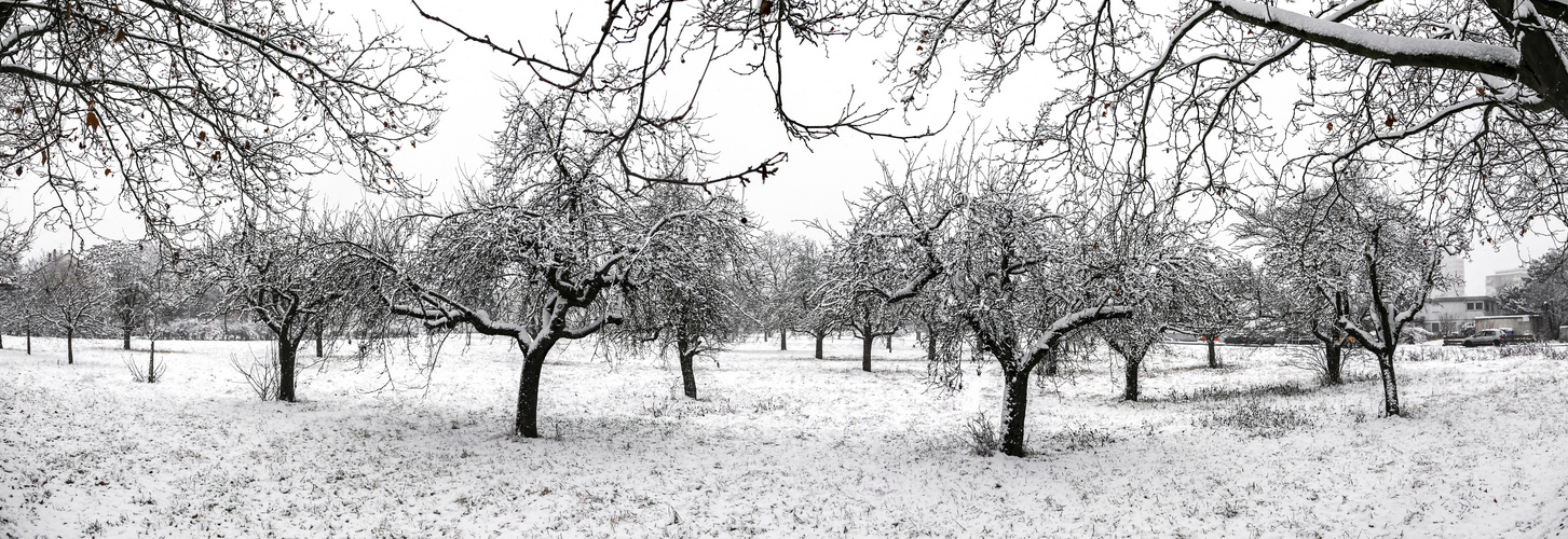 Unser erster Schnee