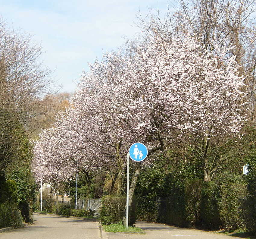 Unser erster Spaziergang