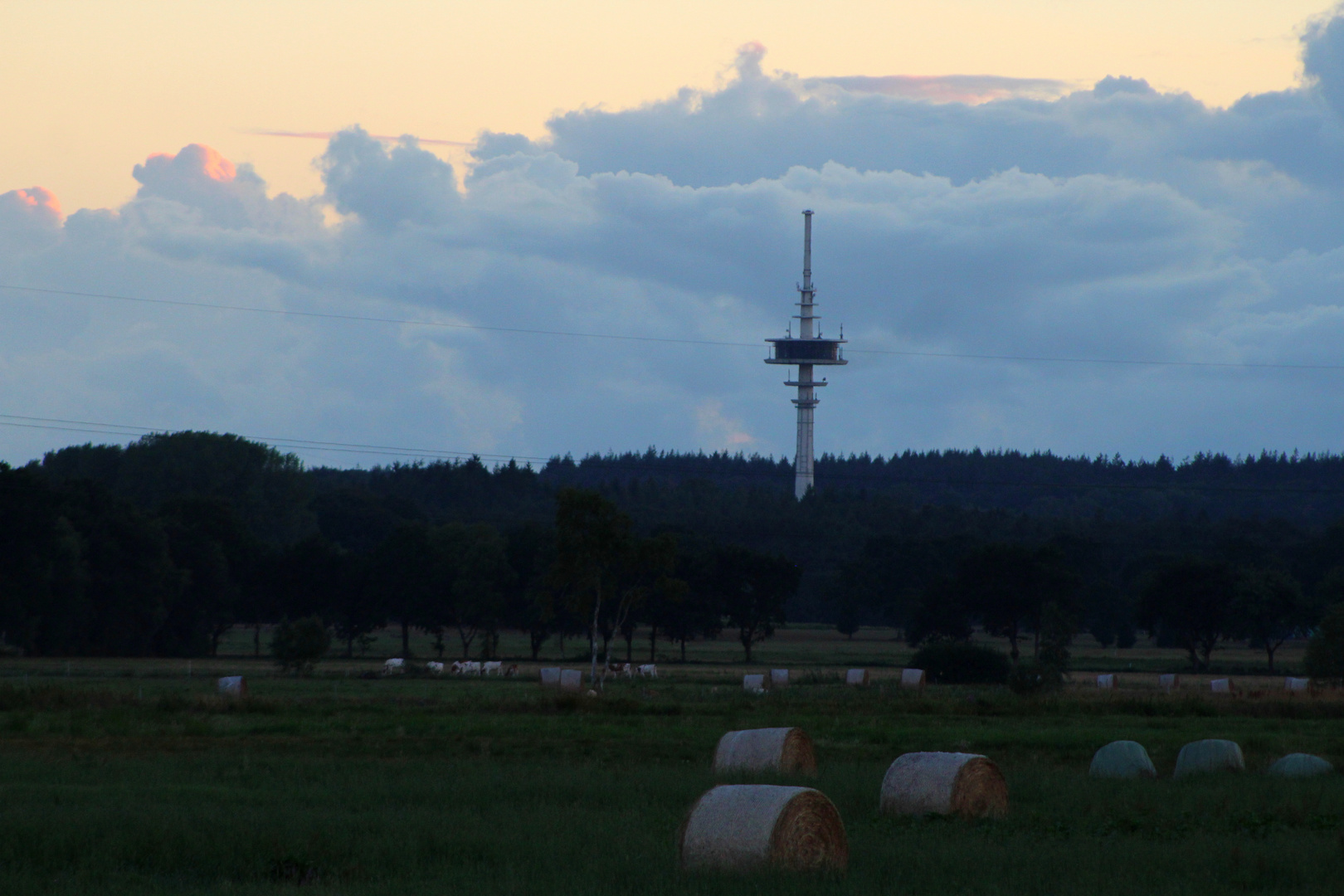 unser Fernsehturm am Wald Westerberg ...