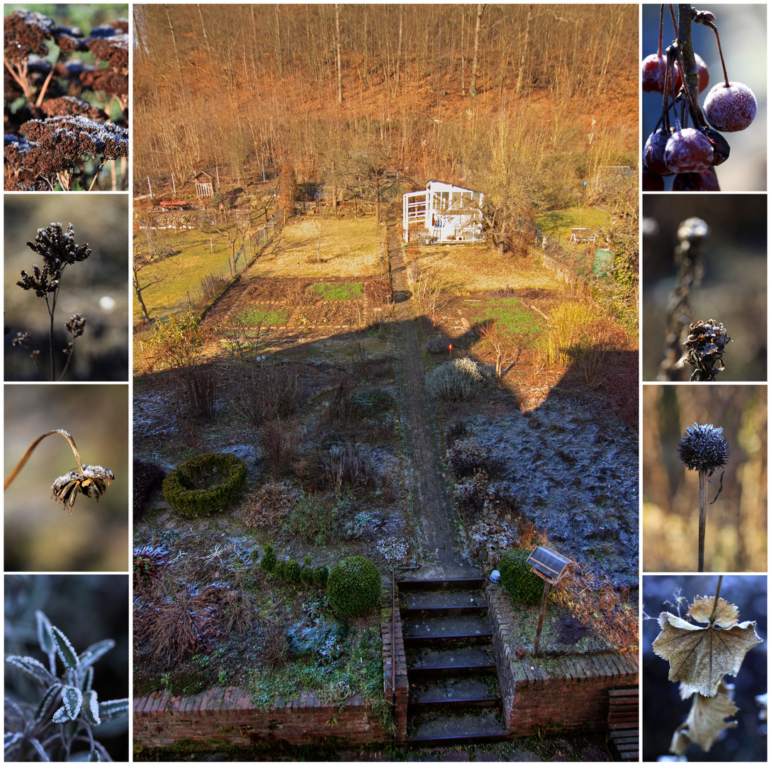 * Unser frostiger Garten *