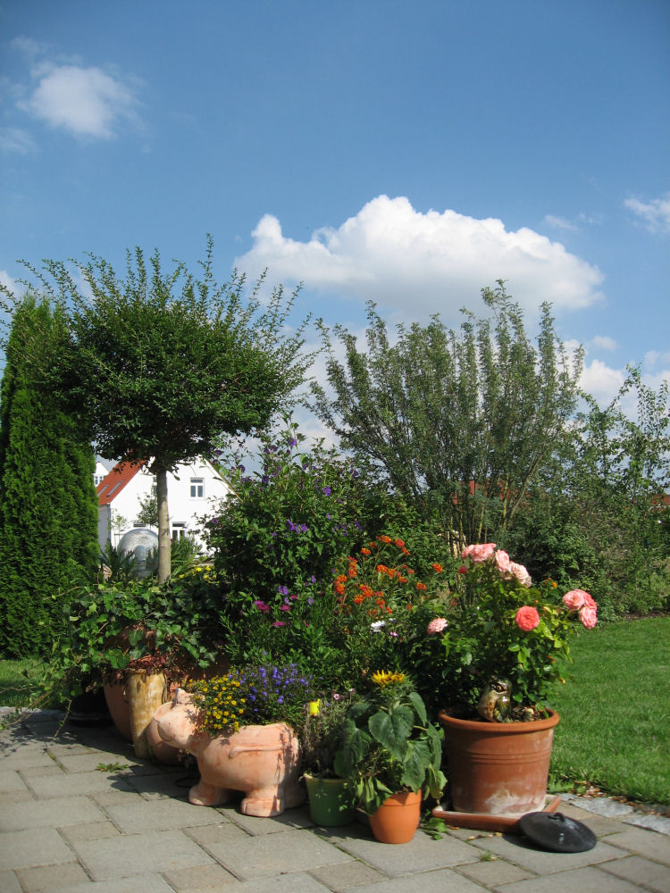 Unser Garten