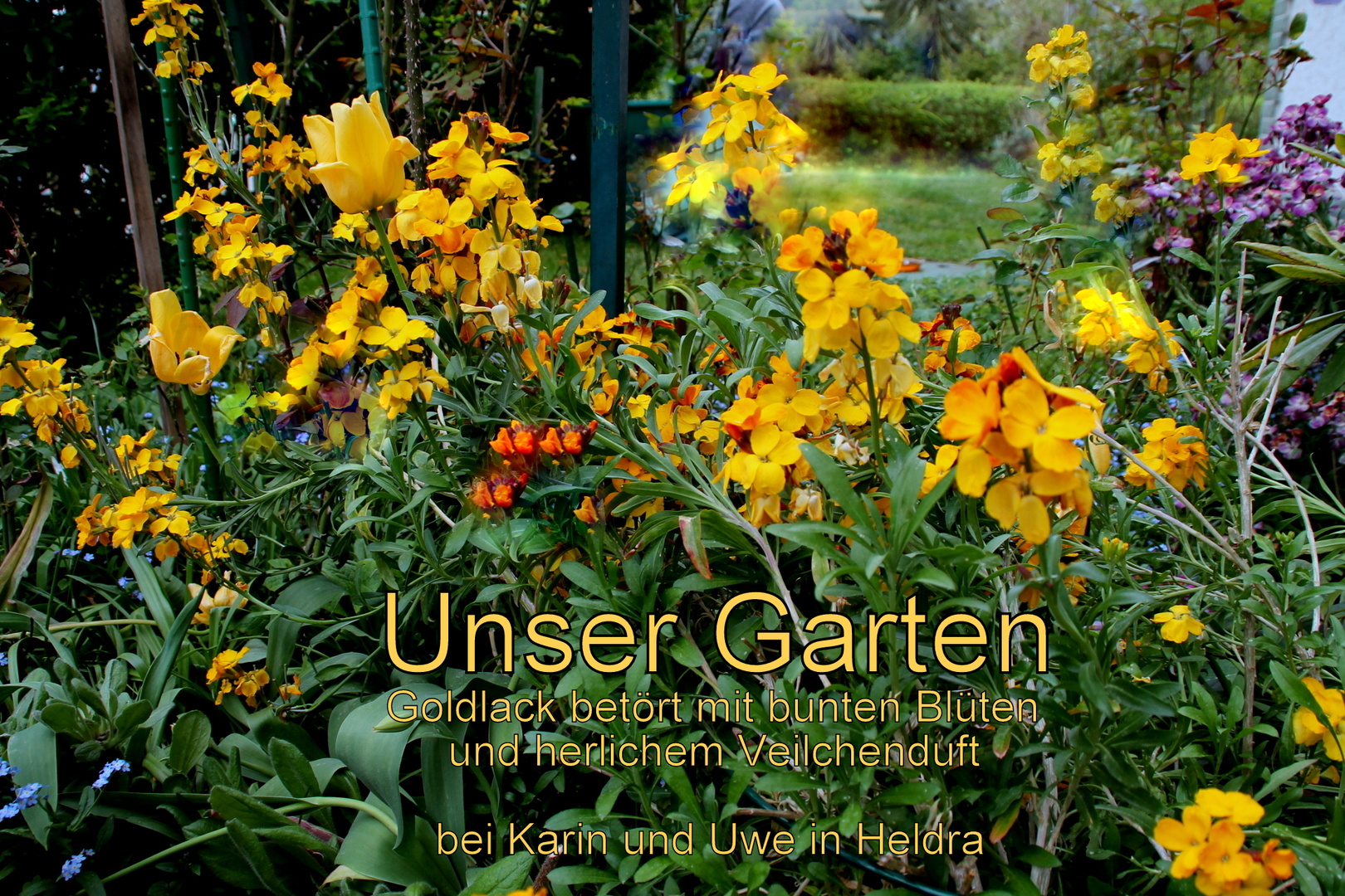 Unser Garten