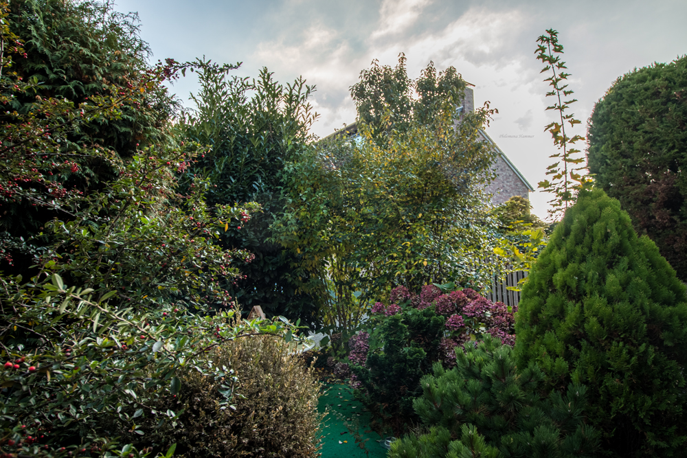 Unser Garten Foto & Bild natur, herbst, hdr Bilder auf