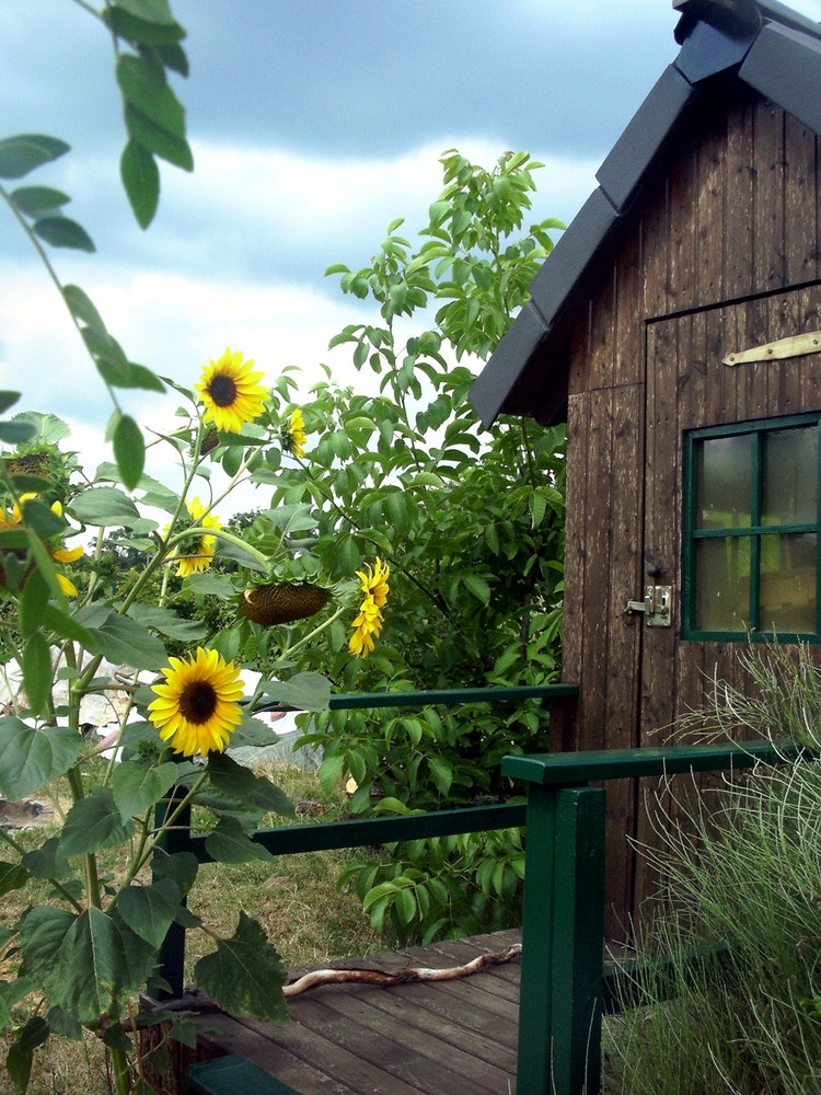 Unser Garten