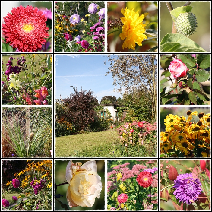 Unser Garten am letzten schönen Septemberfreitag