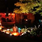 Unser Garten bei Nacht