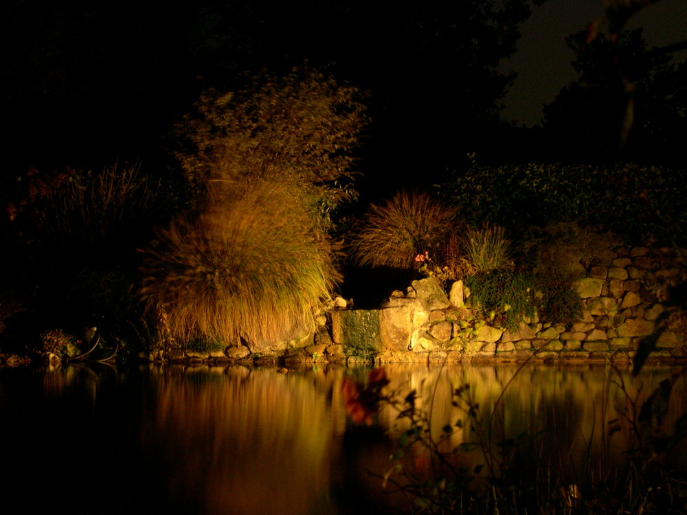 unser Garten bei Nacht