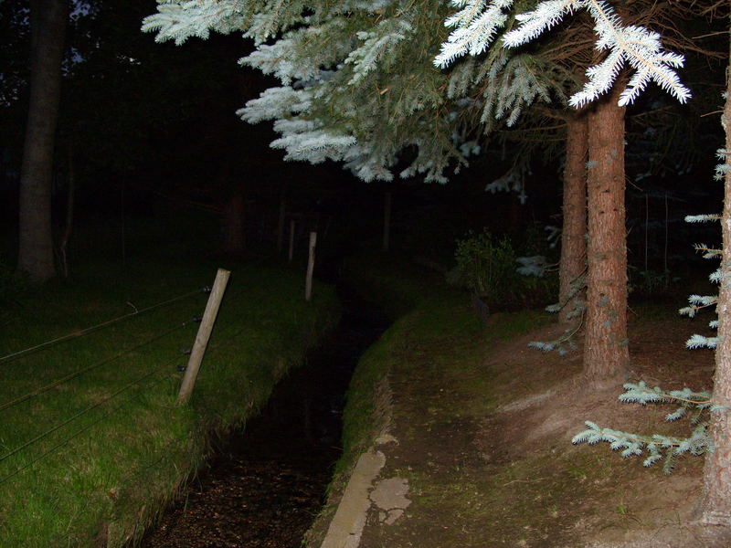 unser Garten bei Nacht