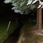 unser Garten bei Nacht