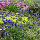 unser Garten beim Treppenabgang