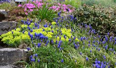 unser Garten beim Treppenabgang