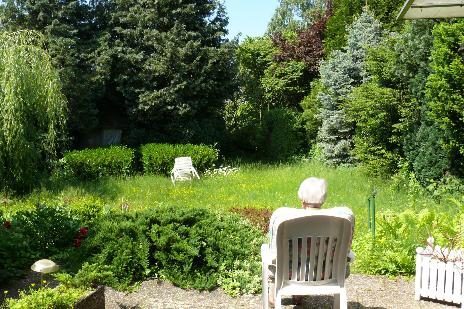 Unser Garten im Frühsommer 2013