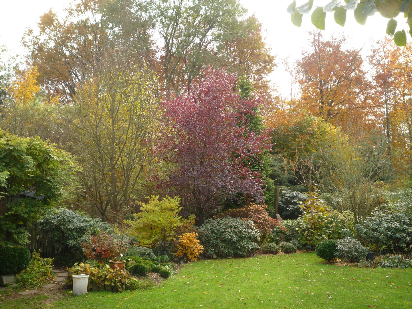 Unser Garten im Oktober