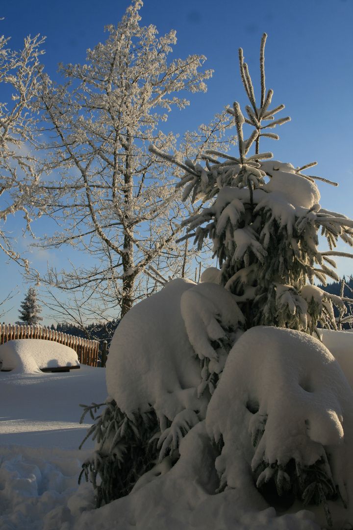 Unser Garten im Schnee