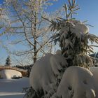 Unser Garten im Schnee