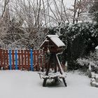 Unser Garten im Winter