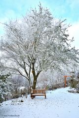 Unser Garten im Winterschlaf