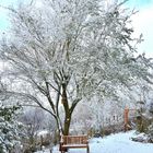 Unser Garten im Winterschlaf