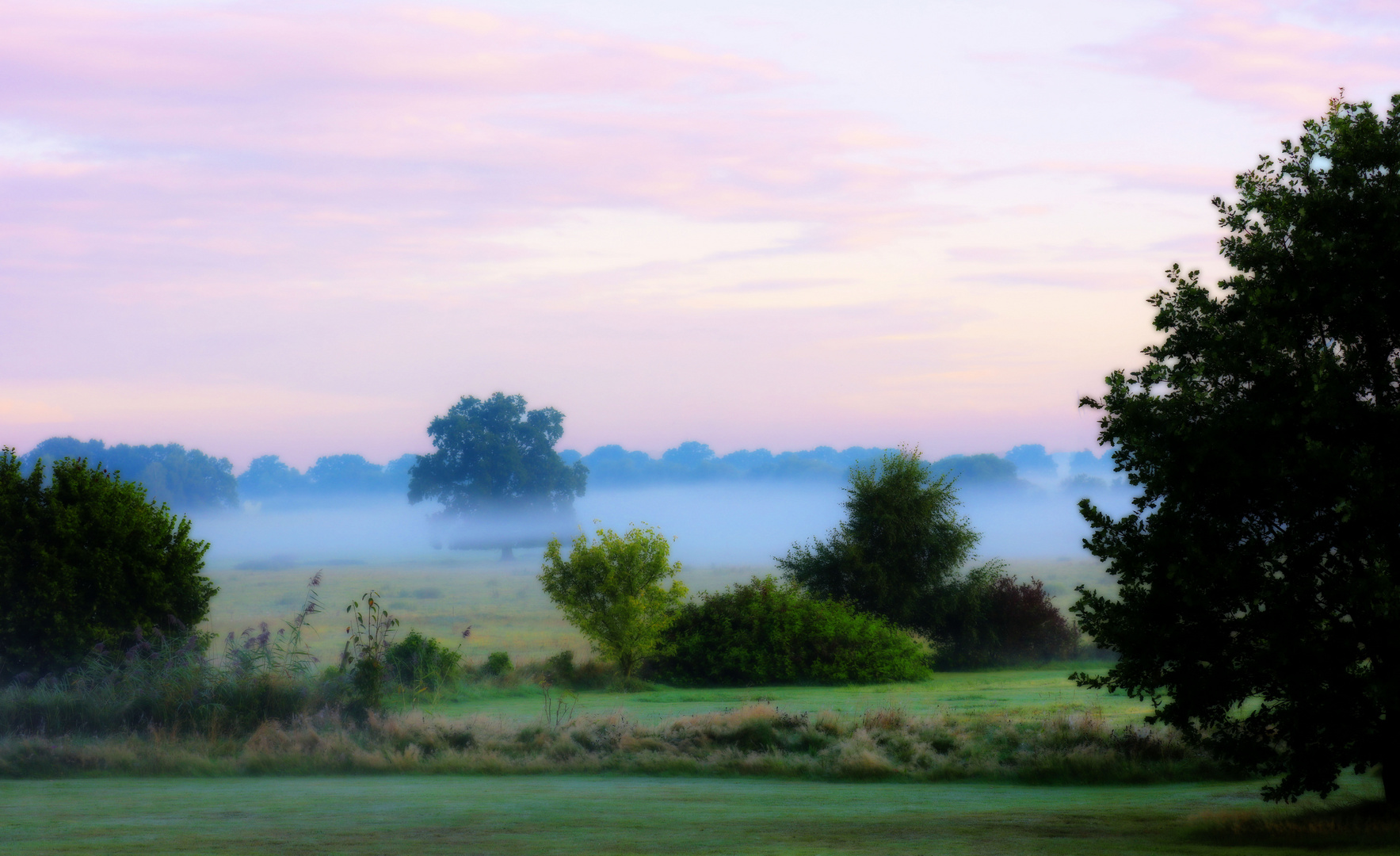 Unser Garten mit Morgennebel