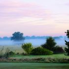 Unser Garten mit Morgennebel