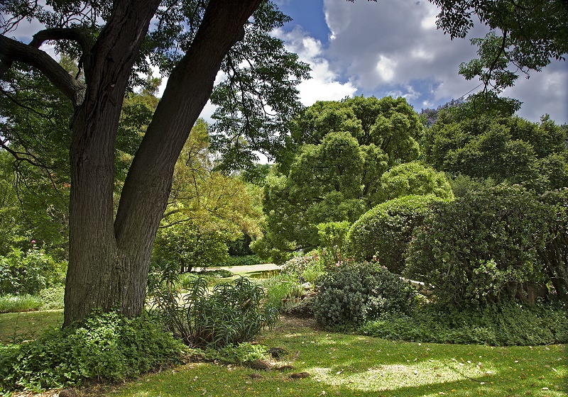 Unser Garten mittlerer Teil