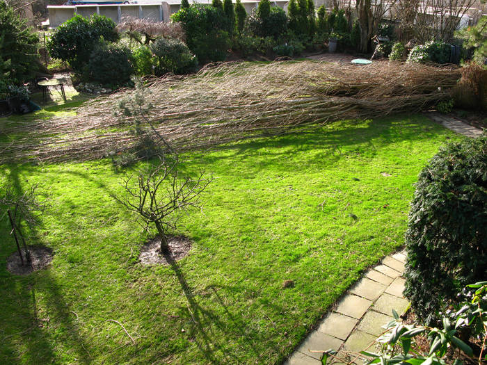 unser Garten nach dem Sturm ;o)