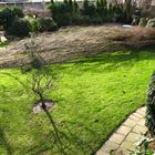 unser Garten nach dem Sturm ;o)