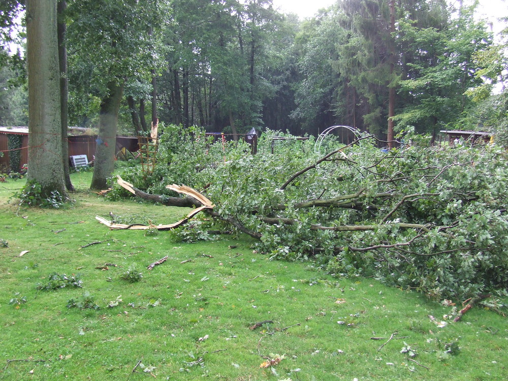 Unser Garten nach heftigem Unwetter >totale Verwüstung Foto & Bild