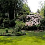 Unser Garten - Panorama -