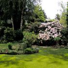 Unser Garten - Panorama -