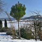 Unser Gartenhäuschen und Kinderhaus