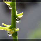 Unser Gartenhäusschen..