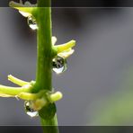 Unser Gartenhäusschen..